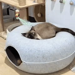Water Play Mat for Pets - 2-in-1 Mat: Fun & Relaxation in One 🎁