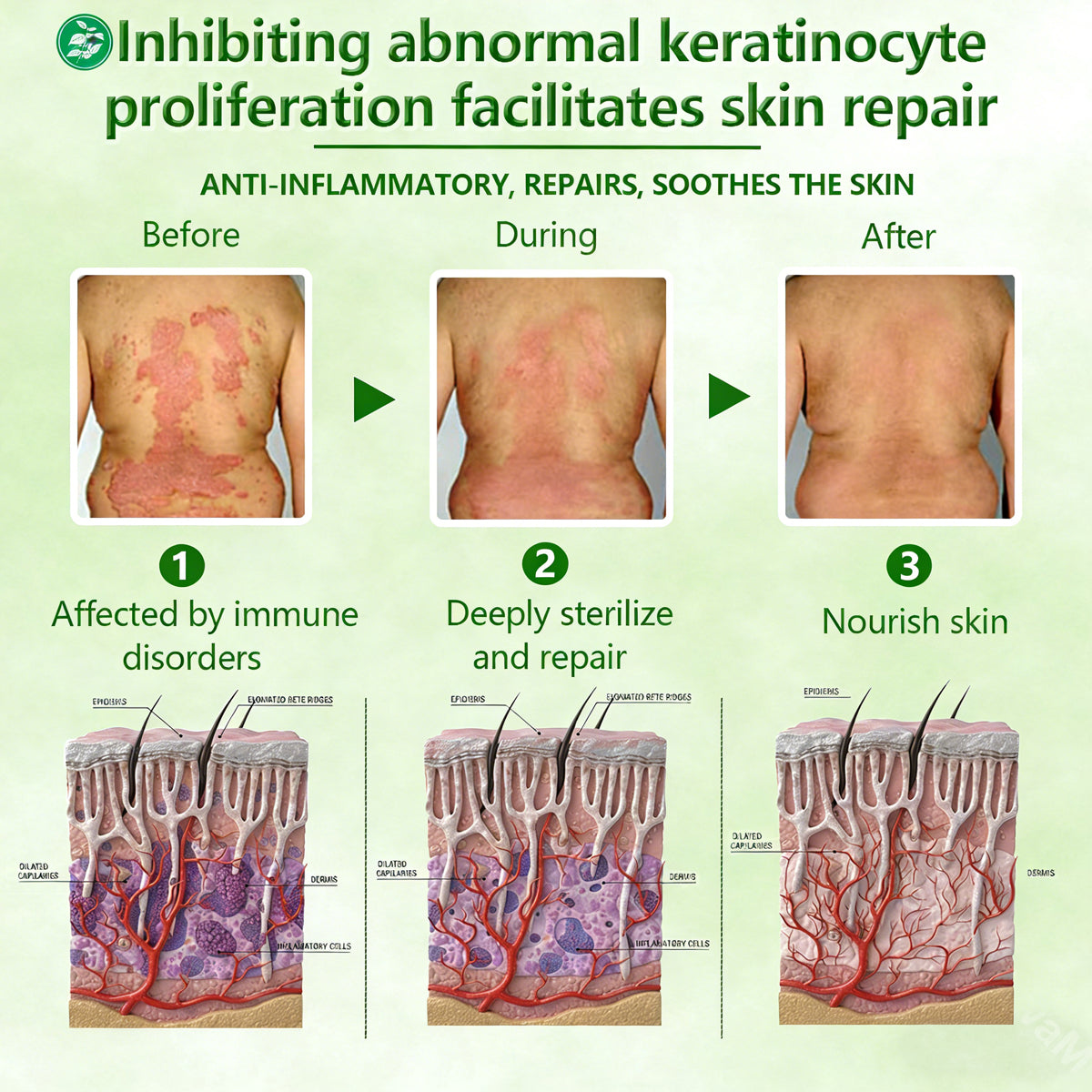 𝐎𝐟𝐟𝐢𝐜𝐢𝐚𝐥 𝐒𝐭𝐨𝐫𝐞 | 🌿 𝐉𝐮𝐱𝐞𝐤®𝐇𝐞𝐫𝐛𝐚𝐥 𝐌𝐢𝐫𝐚𝐜𝐥𝐞 𝐂𝐫𝐞𝐚𝐦 𝐁𝐨𝐭𝐚𝐧𝐢𝐜𝐚𝐥 𝐑𝐞𝐥𝐢𝐞𝐟 · 𝐃𝐞𝐞𝐩 𝐑𝐞𝐩𝐚𝐢𝐫 × 𝐒𝐤𝐢𝐧 𝐁𝐚𝐫𝐫𝐢𝐞𝐫 𝐒𝐮𝐩𝐩𝐨𝐫𝐭 𝐀𝐝𝐯𝐚𝐧𝐜𝐞𝐝 𝐒𝐨𝐨𝐭𝐡𝐢𝐧𝐠 𝐂𝐫𝐞𝐚𝐦