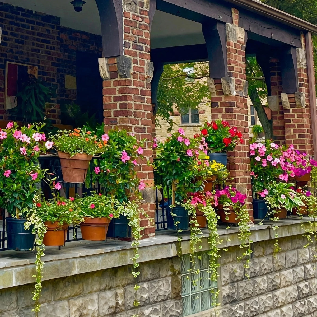 🌸Railing Plant Hanger